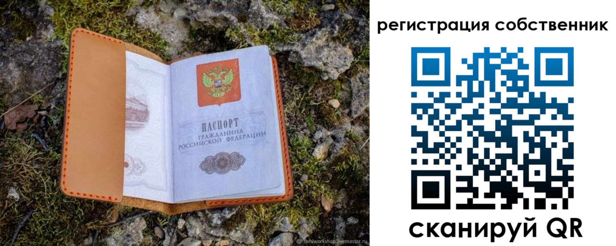 прописка поиск в Полярных Зорях