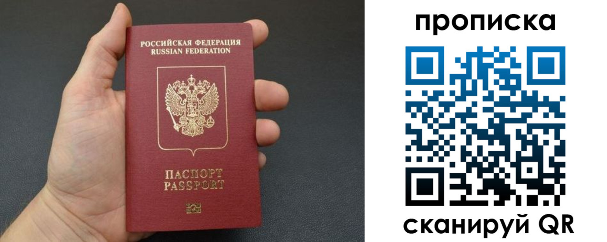 купить прописку в Полярных Зорях